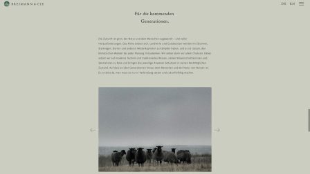 breimann cie website studio04